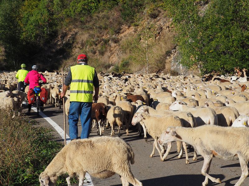 J2-mer-de-moutons.jpg